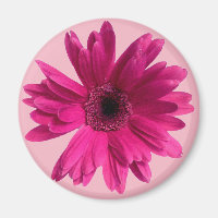 Pink Daisy emoji