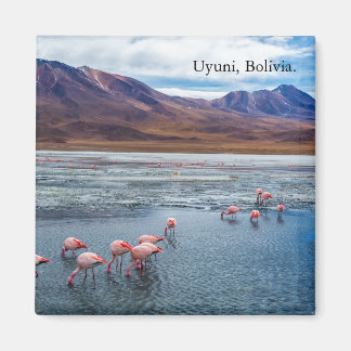 Íman Pink Flamingoes in Bolivia