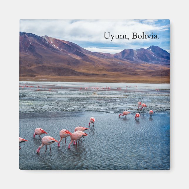 Íman Pink Flamingoes in Bolivia (Frente)