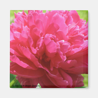 Íman Pink Peony