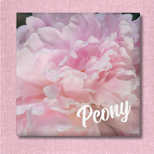 Íman Pink Peony Blossom Para Amantes De Peônias
