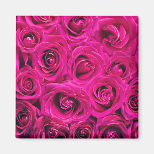 Íman Pink Roses (Love and Romance)