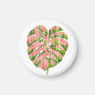 Íman Pink Tartan Scottish Monstera Watercolour Botanic
