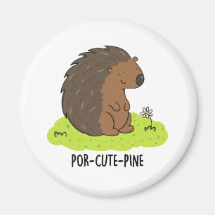 Íman Pino Engraçado Porcupine Porcupine