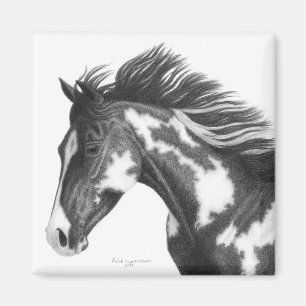 Íman Pinte o ímã do cavalo