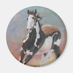 Íman pinte o ímã do cavalo