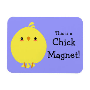 Íman Pintinho