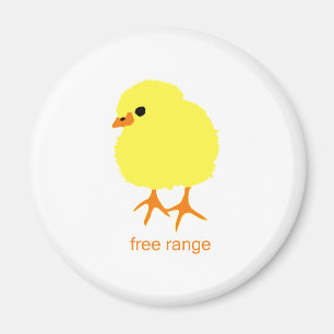 Íman Pintinho ar livre