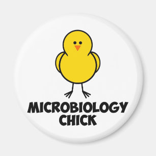 Íman Pintinho da microbiologia