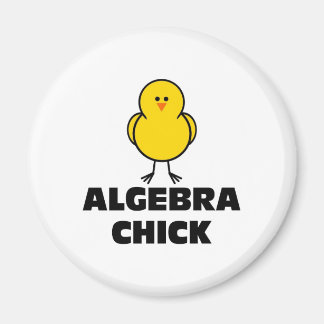 Íman Pintinho de álgebra