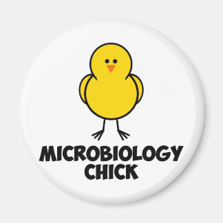Íman Pintinho de microbiologia