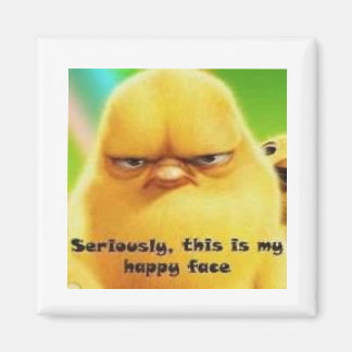 Íman Pintinho de rosto feliz