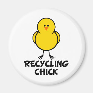 Íman Pintinho do reciclagem