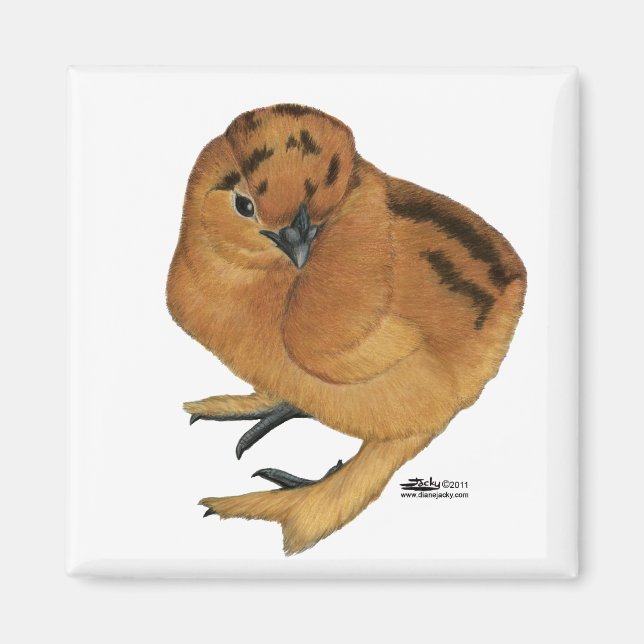Íman Pintinho Vermelho Silkie (Frente)