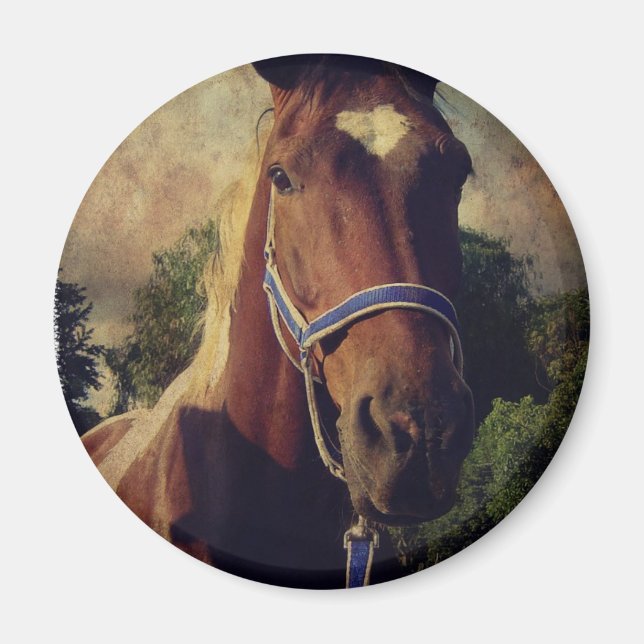 Íman Pinto (Frente)