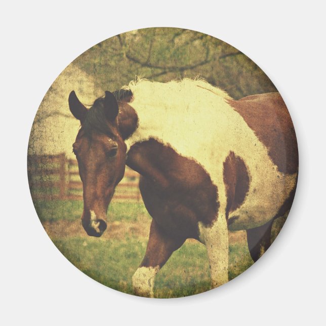 Íman Pinto (Frente)