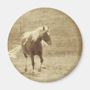 Íman Pinto Pony Sepia