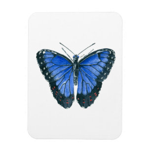 Íman Pintor aquoso da borboleta Azul Morpho