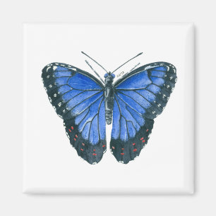 Íman Pintor aquoso da borboleta Azul Morpho