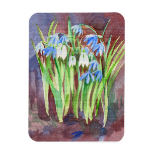 Íman Pintor de primavera azul-de-lula siberiana