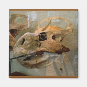 Íman Pintura a óleo do crânio de Dino