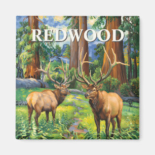 Íman Pintura a Óleo Vintage Elk Redwood Floresta Califó