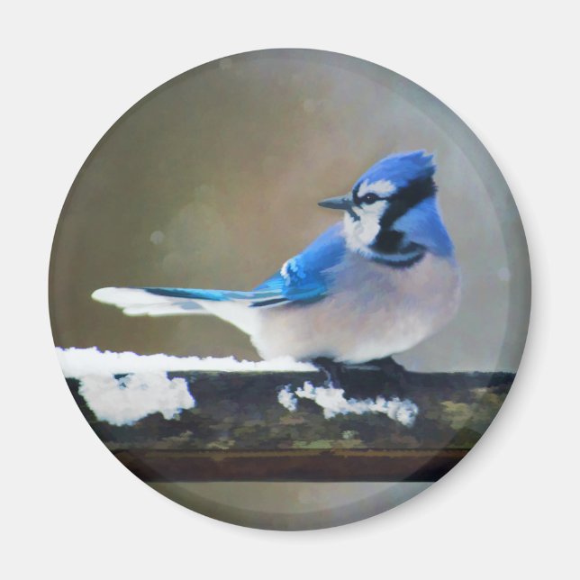 Íman Pintura Blue Jay - Arte Original para Pássaros (Frente)