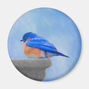 Íman Pintura Bluebird - Arte Original para Pássaros