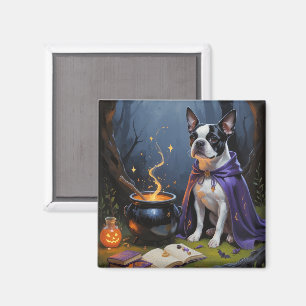 Íman Pintura caprichosa de cachorro Boston Terrier para
