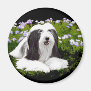 Íman Pintura Collie com Manteiga - Arte Cachorra Origin