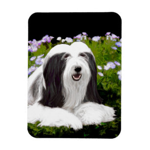 Íman Pintura Collie com Manteiga - Arte Cachorra Origin