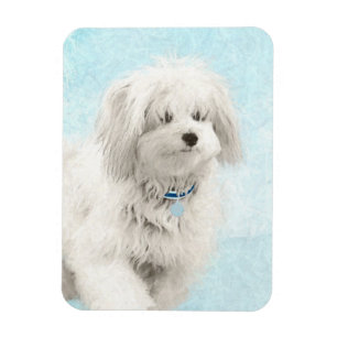 Íman Pintura de Algodão de Tulear - Arte de Cachorro O
