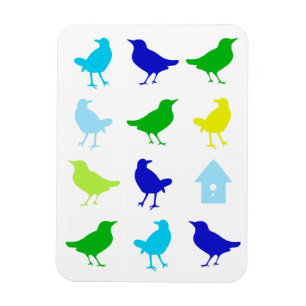 Íman Pintura de aves coloridas por Chariklia Zarris