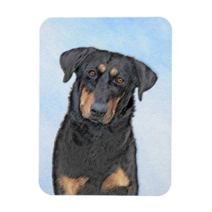 Íman Pintura de Beauceron - Arte de Cão Original Bonit