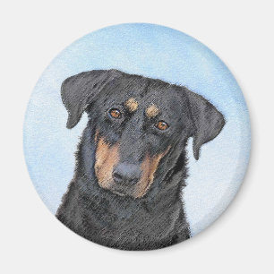 Íman Pintura de Beauceron - Arte de Cão Original Bonit