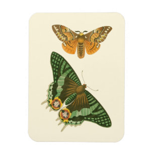 Íman Pintura de Borboleta Ligeiramente Bordada
