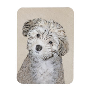 Íman Pintura De Cachorro Havanês - Arte Cachorra Origi