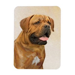 Íman Pintura de Cão de Bordéus - Arte de Cão Origina