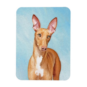 Íman Pintura De Cão Faraó - Arte De Cão Original