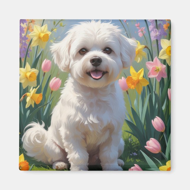 Íman Pintura de Flores de Primavera do Cão Bichon Frise (Frente)