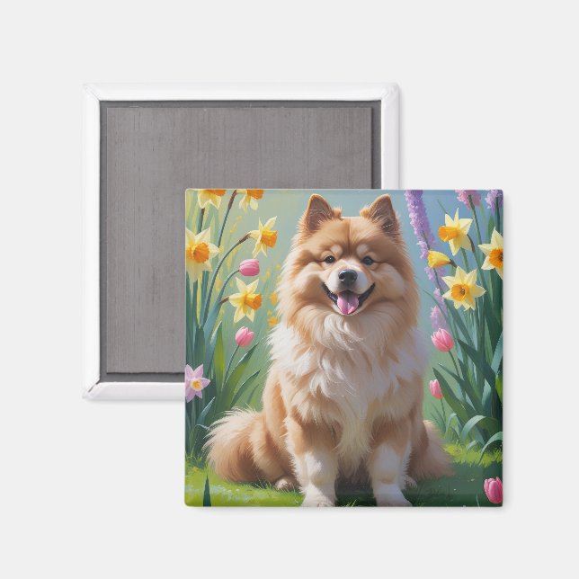 Íman Pintura de Flores de Primavera do Cão Keeshond  (Front/Back)