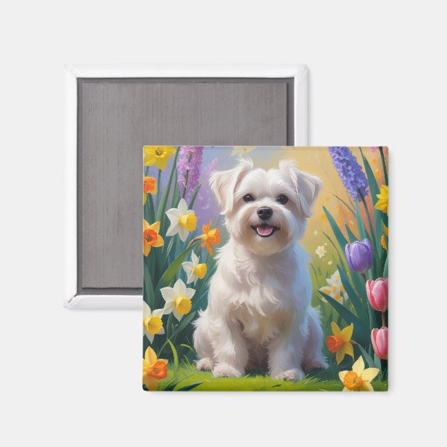 Íman Pintura de Flores de Primavera do Cão Maltês (Front/Back)