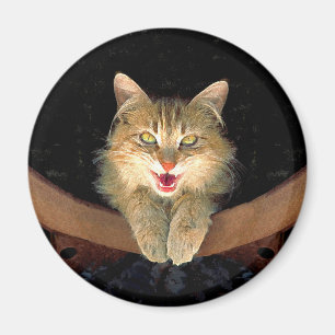 Íman Pintura de Gatos Loucos - Arte de Gato Original Bo