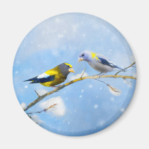 Íman Pintura de Grosbeak Evening - Arte de Cachorro Ori