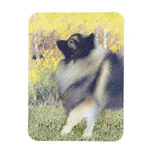 Íman Pintura de Keeshond Aspen - Arte de Cachorro Origi