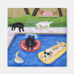 Íman Pintura de Labradors da festa na piscina