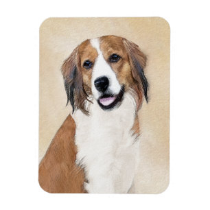 Íman Pintura De Nederlandse Kooikerhondje - Arte De Cã