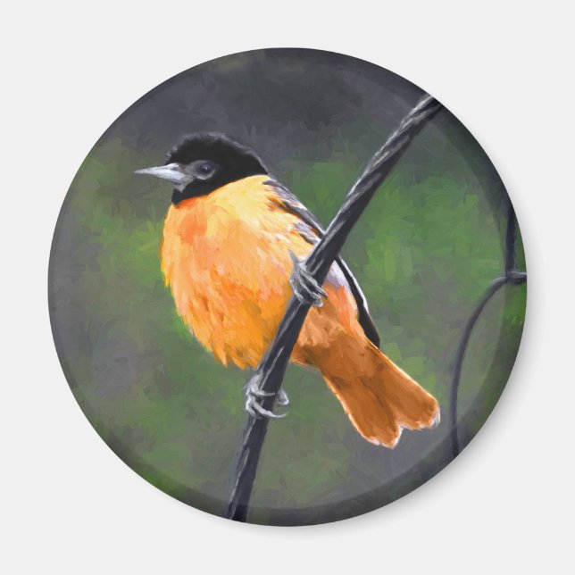 Íman Pintura de Oriole - Arte Original para Pássaros (Frente)
