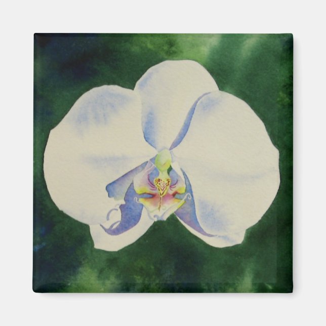 Íman Pintura de orquídea branca e elegante (Frente)