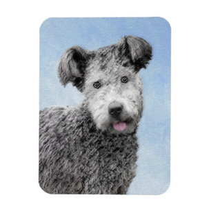 Íman Pintura De Pumi - Arte De Cão Original Bonita